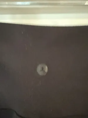 Black Flared Yoga Pants thumbnail 7