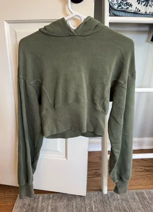OFFLINE by Aerie Hoodie thumbnail 1