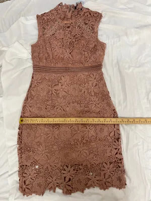 Bardot Paris Lace High Neck Dress Pink Size 4 NWT Cocktail Wedding Guess thumbnail 10