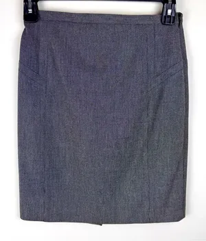EXPRESS‎ GRAY SKIRT FOR WOMEN SIZE 6 Fully Lined Side Zipper Closure thumbnail 1