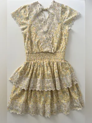 American Eagle Yellow Floral Eyelet Lace Mini Dress XS thumbnail 2