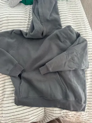 Aritzia Hoodie thumbnail 1