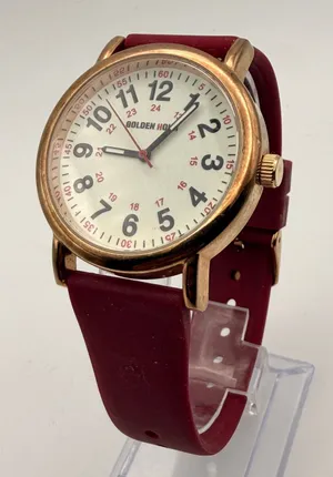 GOLDEN HOUR Waterproof Nurse Watch - Medical Professionals Essential New Battery thumbnail 1