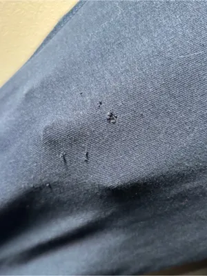 Abercrombie & Fitch Navy Blue Low Rise Sweatpants thumbnail 3