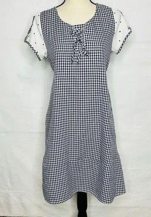 Zara Dress Size M Blue White Gingham Check Shift Short-Sleeve Tie Back thumbnail 1
