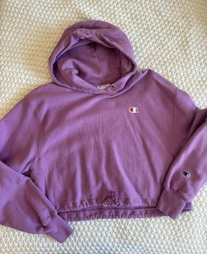 Champion Cropped Hoodie thumbnail 1