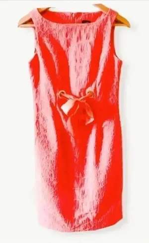 Taylor Sleeveless Women’s Dress SZ 2 thumbnail 1