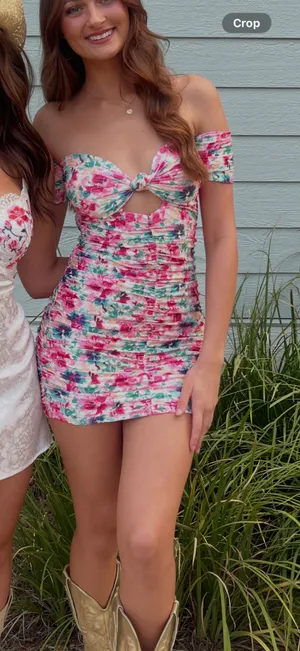 Revolve lovers and friends erica floral mini dress thumbnail 2