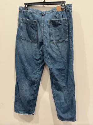 Madewell The Darted Barrel-Leg Jean Size 31T NWOT thumbnail 9