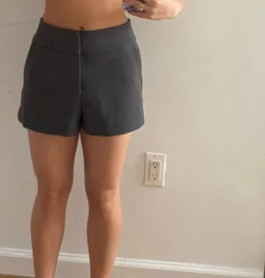 Zara Shorts thumbnail 1
