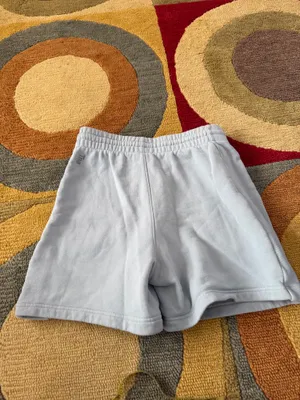 ABS Allen Schwartz Aritzia Tna CozyFleece Boyfriend Sweat Shorts Light Blue Women’s Size Small thumbnail 4