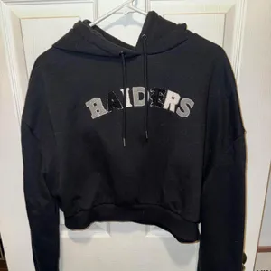 National Football League Las Vegas Raiders The Wild Collective hoodie thumbnail 1