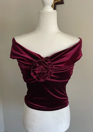 Reformation Off-Shoulder Velvet Crop Top in Burgundy thumbnail 1
