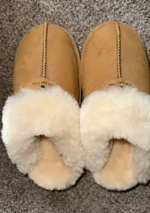 BEARPAW Platform thumbnail 1