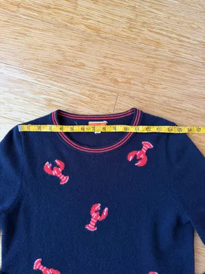 J.Crew 100% Cashmere Flying Lobster Sweater Navy Red Size S thumbnail 8