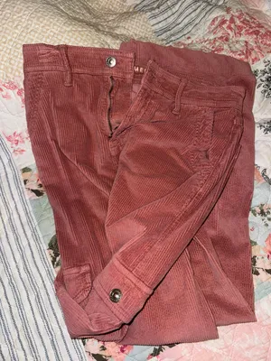 AE Corduroy Cargo Pants 🩷 thumbnail 2