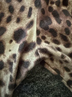 Dolce & Gabbana Skims Cheetah Long Sleeve thumbnail 6