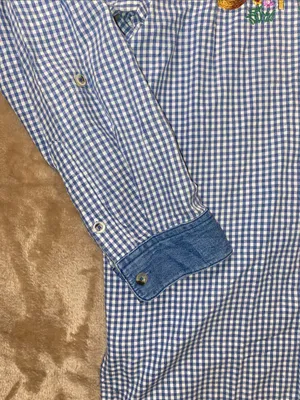 Quaker Factory Blue Gingham Button-Up Shirt with Embroidered Birdhouses thumbnail 6