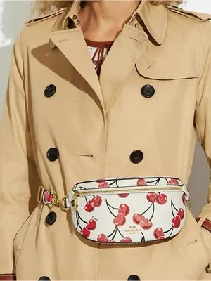Coach Bethany Belt Bag With Cherry Print CB610 thumbnail 4