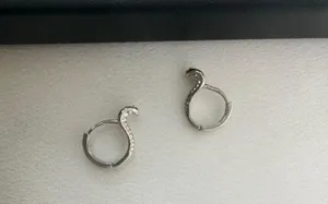 Snake Small Hoop Earrings for Men Women Streetwear Hip Hop Unisex Style thumbnail 4