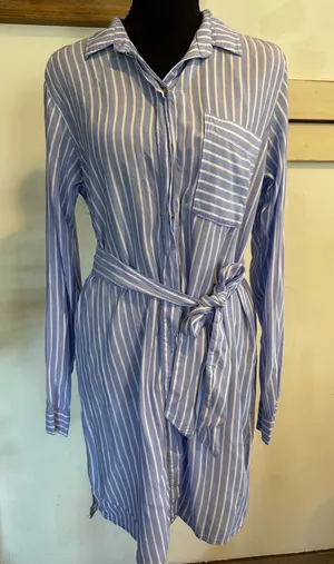 Abercrombie & Fitch Blue and White Striped Button-Up Shirt thumbnail 1
