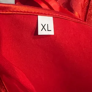 Red Satin Corset with Matching Thong New Lace Up Zip Floral Bustier Bodice XL thumbnail 5