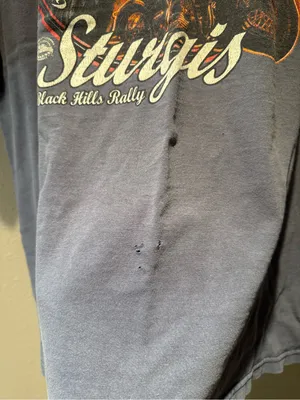 Vintage 2006 Sturgis Motorcycle Rally Eagle T-Shirt Black Hills South Dakota Siz thumbnail 2