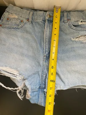 American Eagle Outfitters Women's Size 12 Shorts thumbnail 6