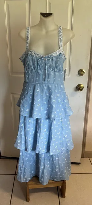 NWT Large Trixxi light blue floral tiered maxi cottagecore-inspired dress thumbnail 1