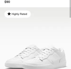 Nike SB Zoom Force 58 Premium white trainers thumbnail 5