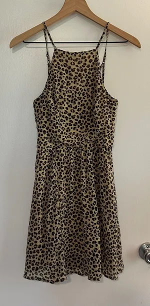 Abercrombie & Fitch | Cheetah Leopard Animal Print Halter Mini‎ Dress, Size XS thumbnail 1