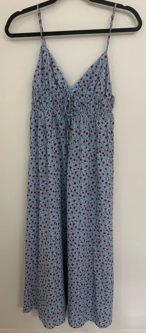 Petal & Pup Light Blue Floral Spaghetti-Strap Maxi Dress Size M never worn thumbnail 1