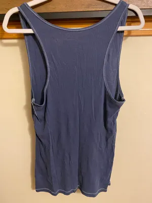 American Eagle Outfitters Blue Tank Top thumbnail 4