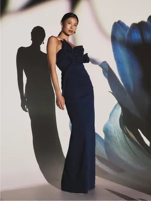 Tojha Zimran Maxi Dress AU6/US2 thumbnail 3