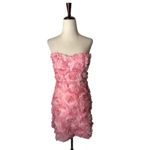 Angel Biba Blanca Mini Dress Women XS Pink NWT 3D Floral Sweetheart Bodycon thumbnail 2