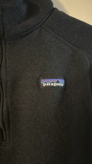 Patagonia Sweater Fleece thumbnail 3