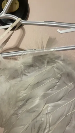 Angel Wings White thumbnail 2