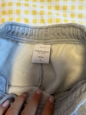 Aritzia joggers  thumbnail 3