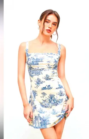 Cider Blue and White Toile De Jouy Mini Dress Size Small thumbnail 1