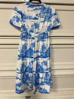 Rosa Clothing Landscape Porcelain Toile Print Flare Maxi Dress Medium New thumbnail 5