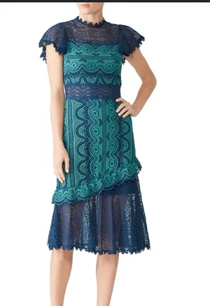 Sea New York Lace Lana Dress Size 4 thumbnail 4