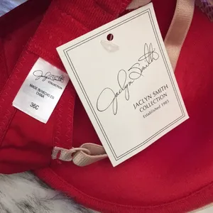 *NWT Red Plunge Push Up Bra 36C Size 36 C thumbnail 5