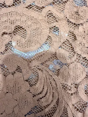 Ann Taylor Rust Lace Short-Sleeve Blouse thumbnail 6
