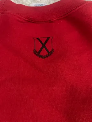 Old Row Champion Pullover  thumbnail 6