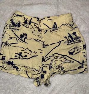 Urban Outfitters Lena souvenir shorts thumbnail 3