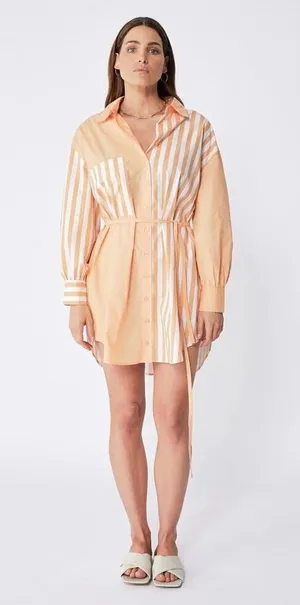 Ena Pelly Bree Cotton Shirt Dress - Melon Stripe - Size 6 thumbnail 1