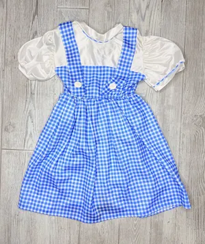 Rubies wizard if Oz Dorthy dress size small Halloween costume cosplay thumbnail 1