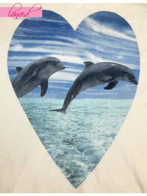 Wildfox Hippie V-Neck Save A Dolphin Heart Porpoise Animals A-Line Short Sleeve thumbnail 4