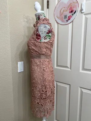 Bardot Paris Lace High Neck Dress Pink Size 4 NWT Cocktail Wedding Guess thumbnail 5