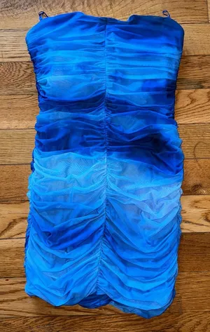 Zara Short Printed Tulle Dress thumbnail 1